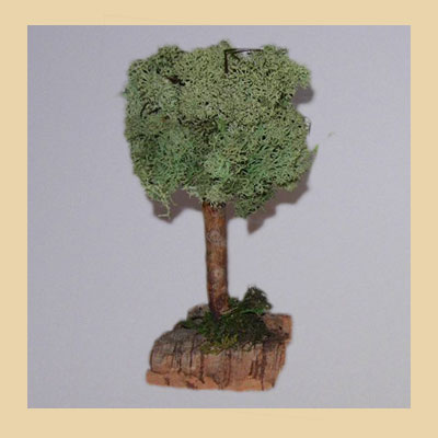 Arbol Liquen