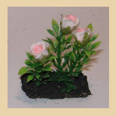 Planta Rosal 3 Flores