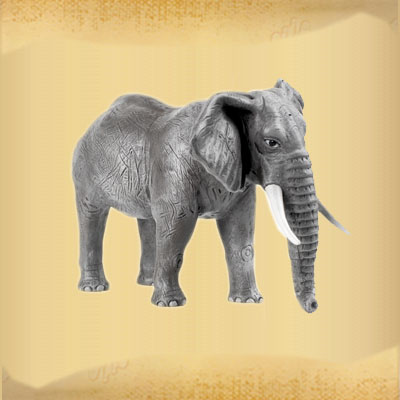 Elefante.