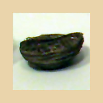 Cesta Baja