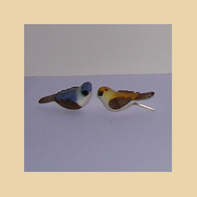 Pájaros de Colores