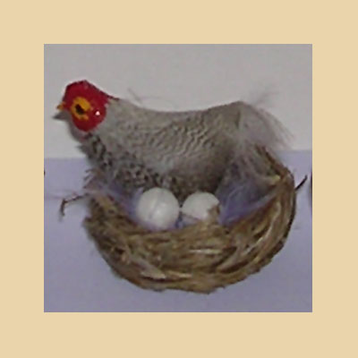 Gallina Ponedora Plumas