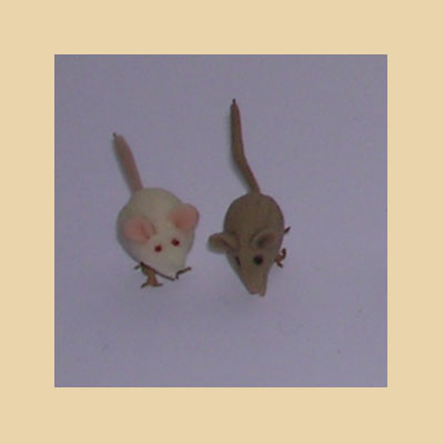 Ratón