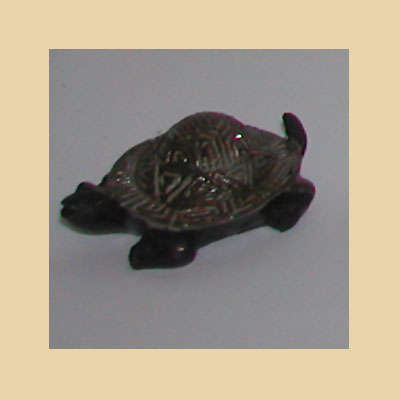 Galapago Tortuga Resina