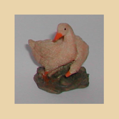 Patos Unidos Resina