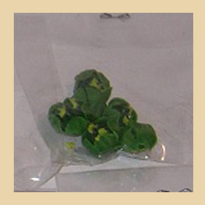 Bolsa de 6 lechugas (migas de pan)