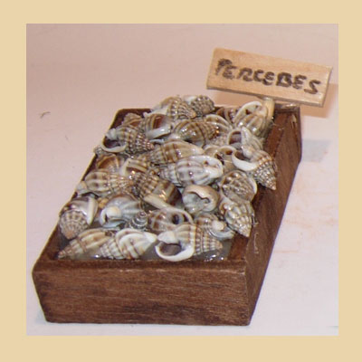 Caja de Percebes