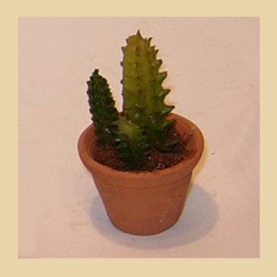 Maceta Cactus Pequeña