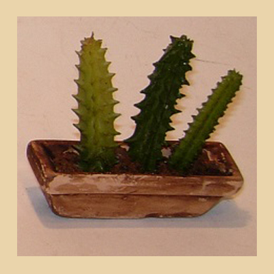 Macetero Rectangular con Cactus