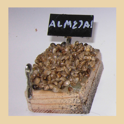 Caja Mediana en Madera de Almejas con Paleta y Letrero