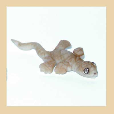Lagarto Hecho a mano
