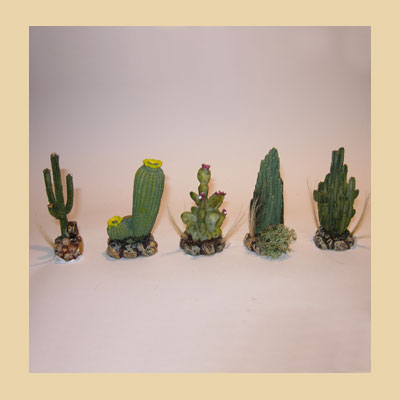 Cactus en Resina 5 Modelos Diferentes