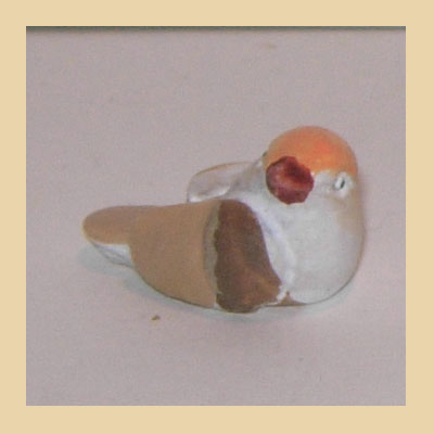 Pajaro Resina.
