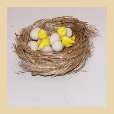 Nido Polluelos y Huevos.